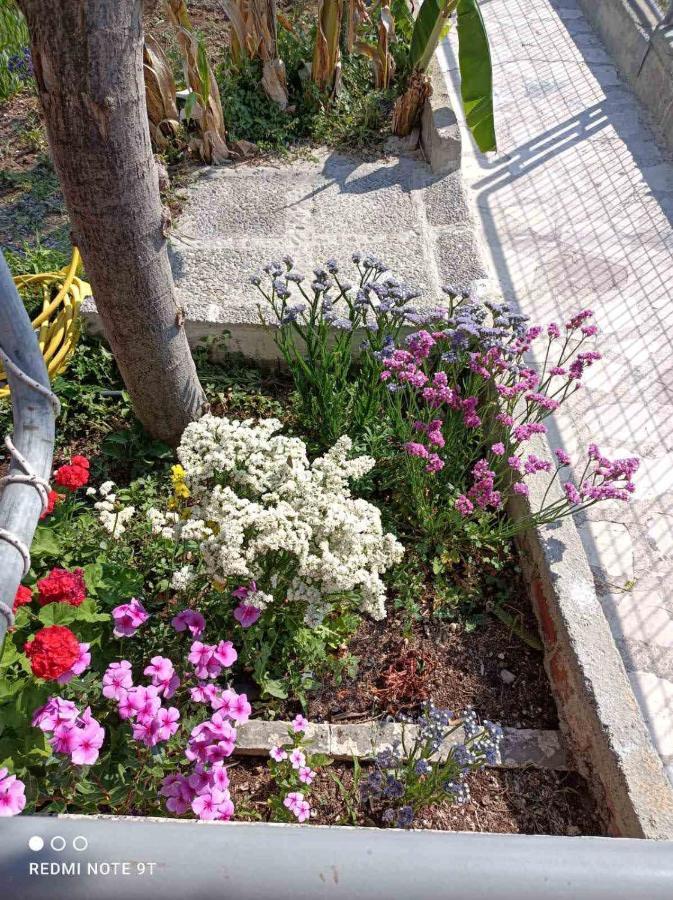 Rania'S House Apartment Methana Exterior photo